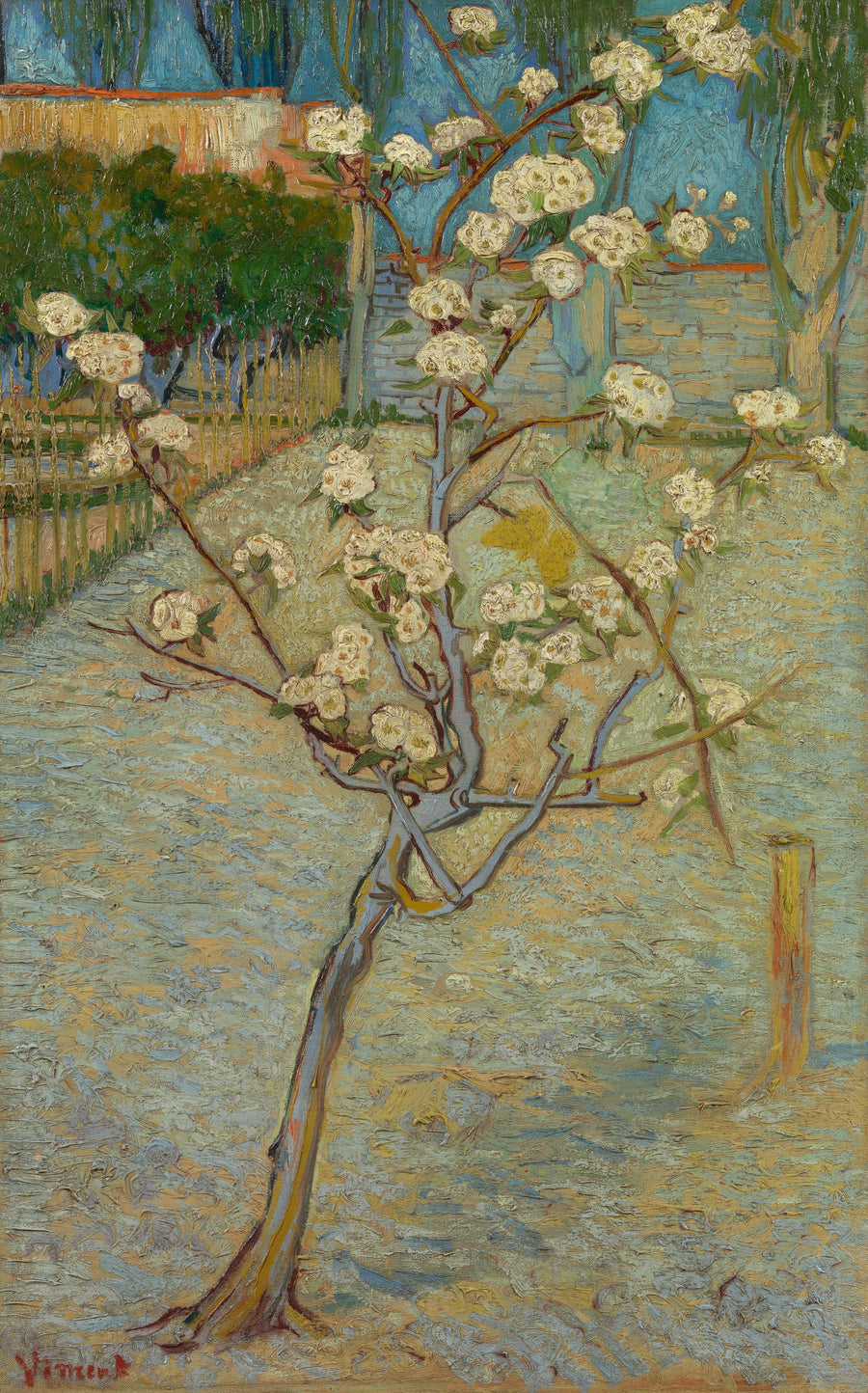 Litet blommande päronträd - Vincent van Gogh