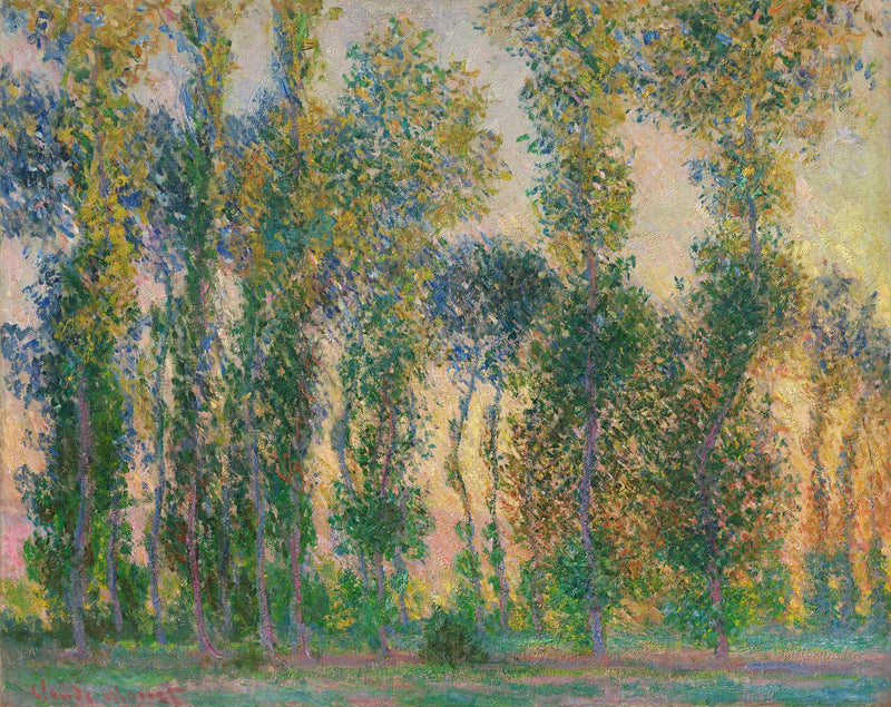 Popplar i Giverny - Claude Monet