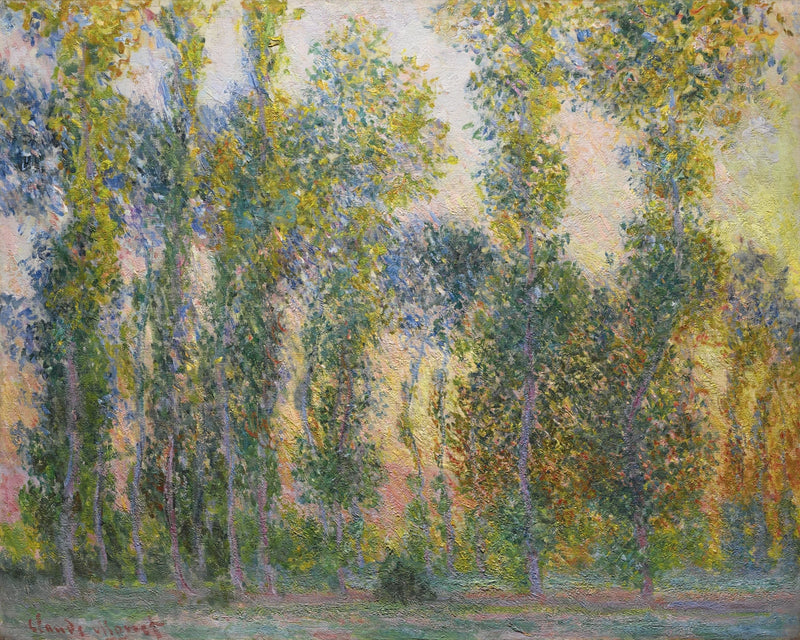 Poppel i Giverny W1156 - Claude Monet