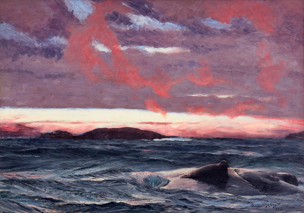 Phoque sur un îlot au coucher du soleil - Bruno Liljefors