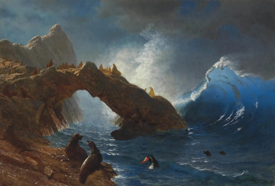 Säl på klipporna - Albert Bierstadt