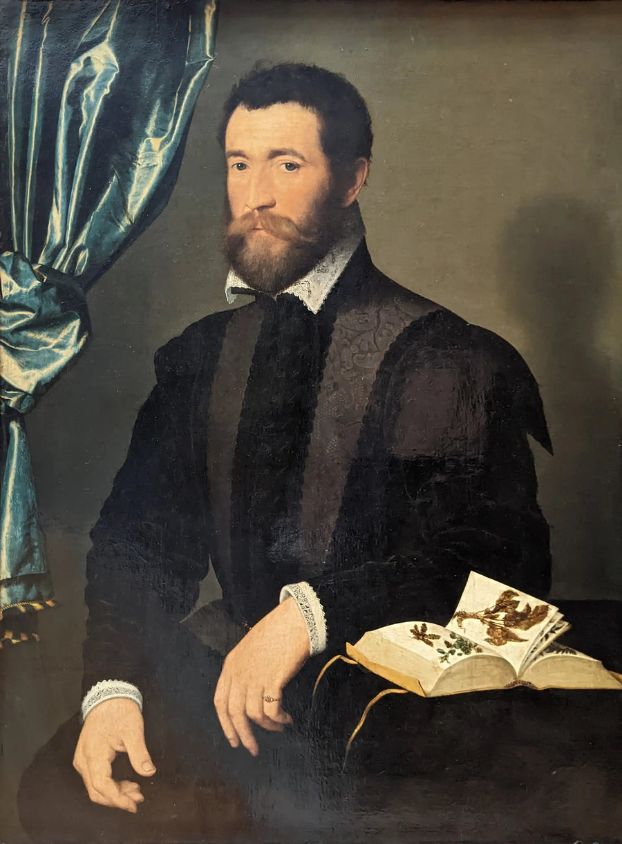 Pierre Quthe, apotekare - François Clouet