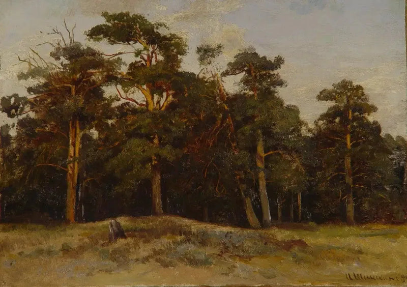 Brochear - Ivan Chichkine