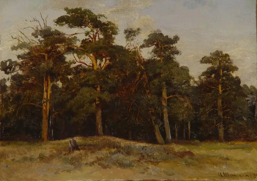 Brochear - Ivan Chichkine