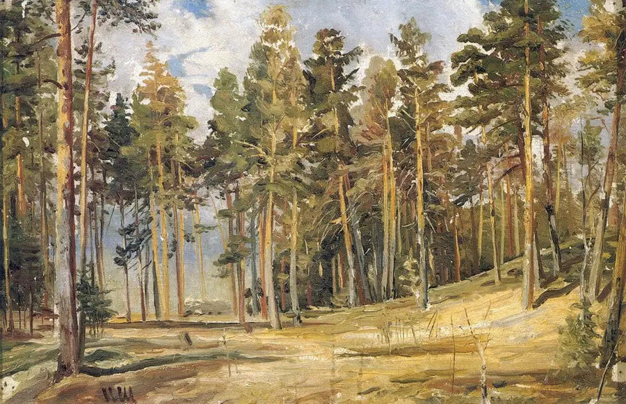 Broderi. Solig dag - Ivan Chichkine