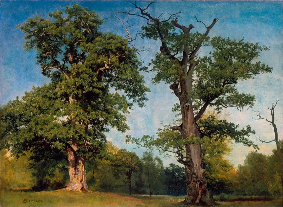 Trädförrädare, Kalifornien - Albert Bierstadt