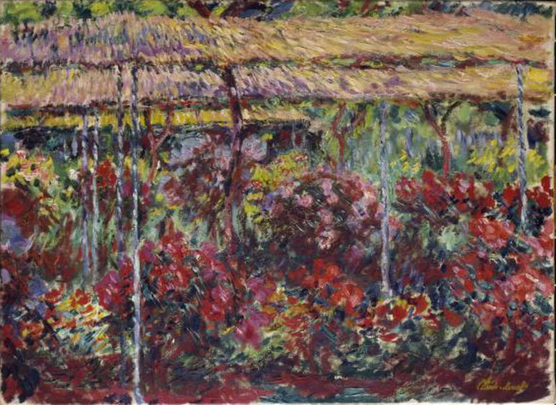 Pioner W1141 - Claude Monet