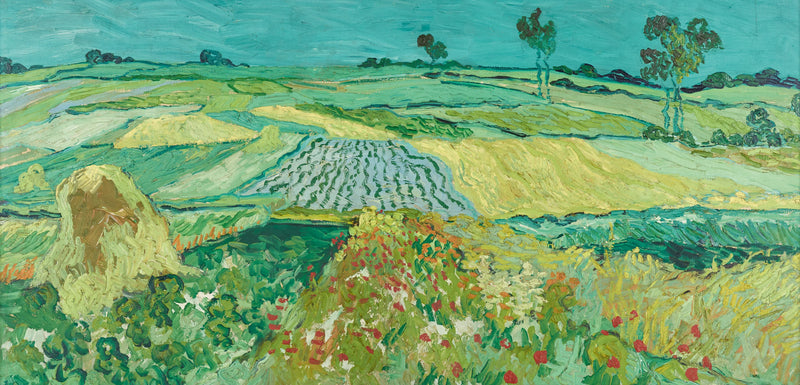 Slätten i Auvers - Vincent van Gogh