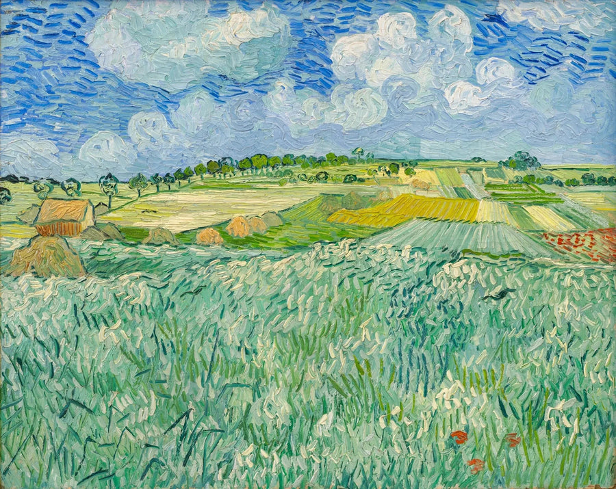 Slätt nära Auvers - Vincent van Gogh