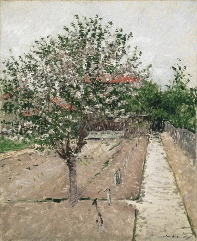 Blommande äppelträd - Gustave Caillebotte