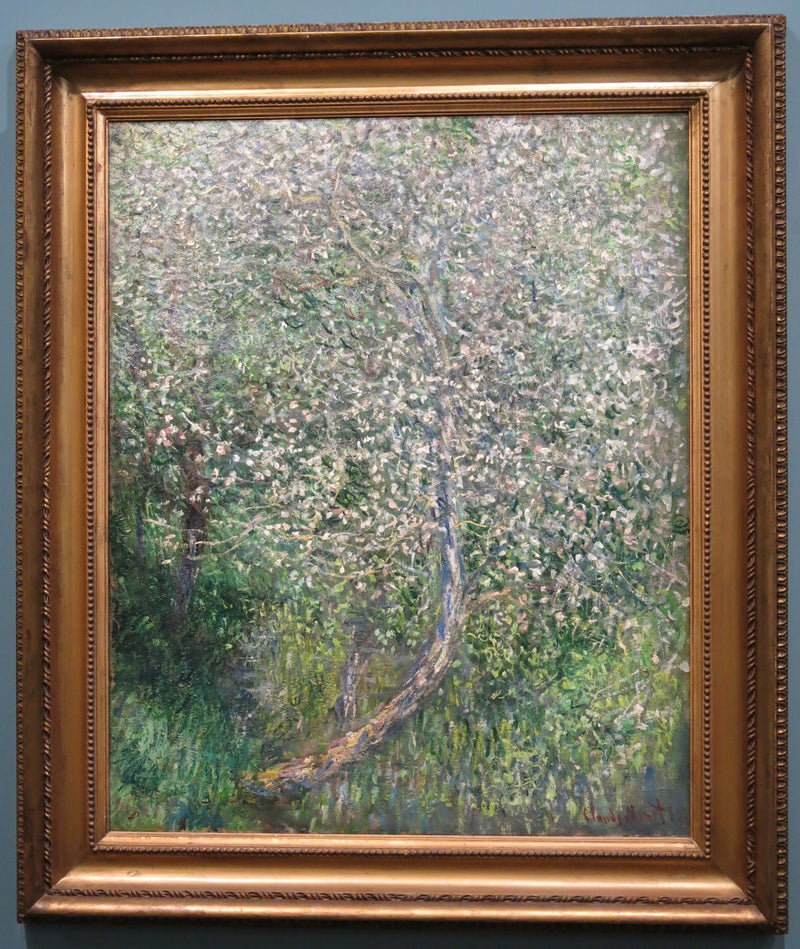 Ppelträd i blom vid vattnet W585 - Claude Monet
