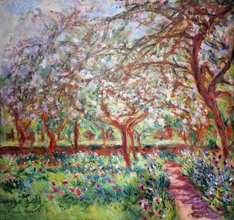Äppelträden i blom - Claude Monet