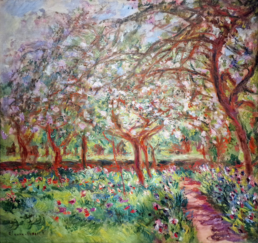 Äppelträden i blom - Claude Monet
