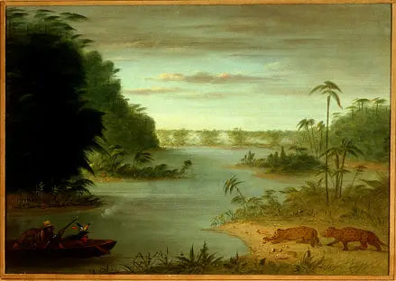 Palmernas bro och Tigertornet - George Catlin