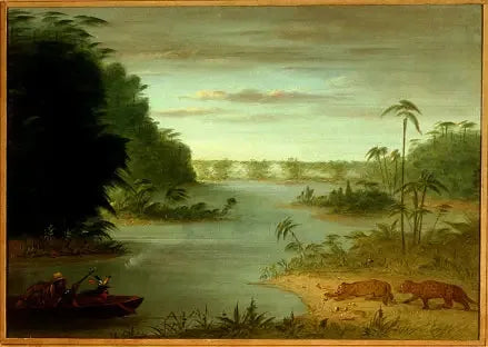 Palmernas bro och Tigertornet - George Catlin
