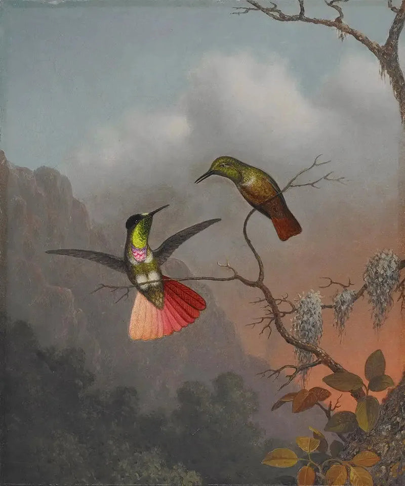 Huvudbonad med visir - Martin Johnson Heade