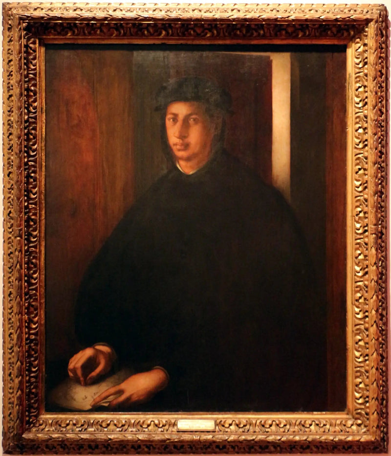 Porträtt av Alexandre de Médicis - Pontormo