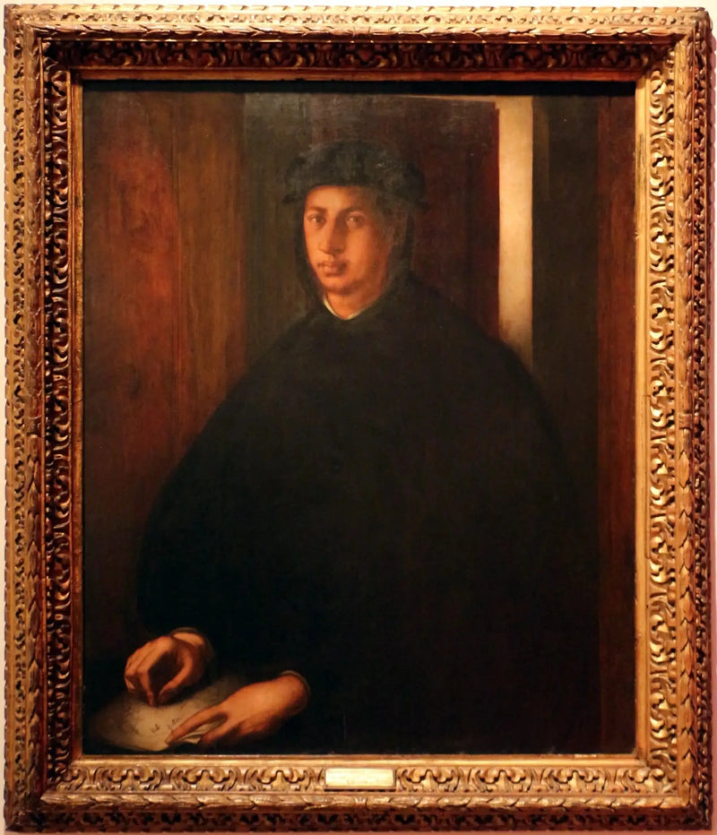 Porträtt av Alexandre de Médicis - Pontormo