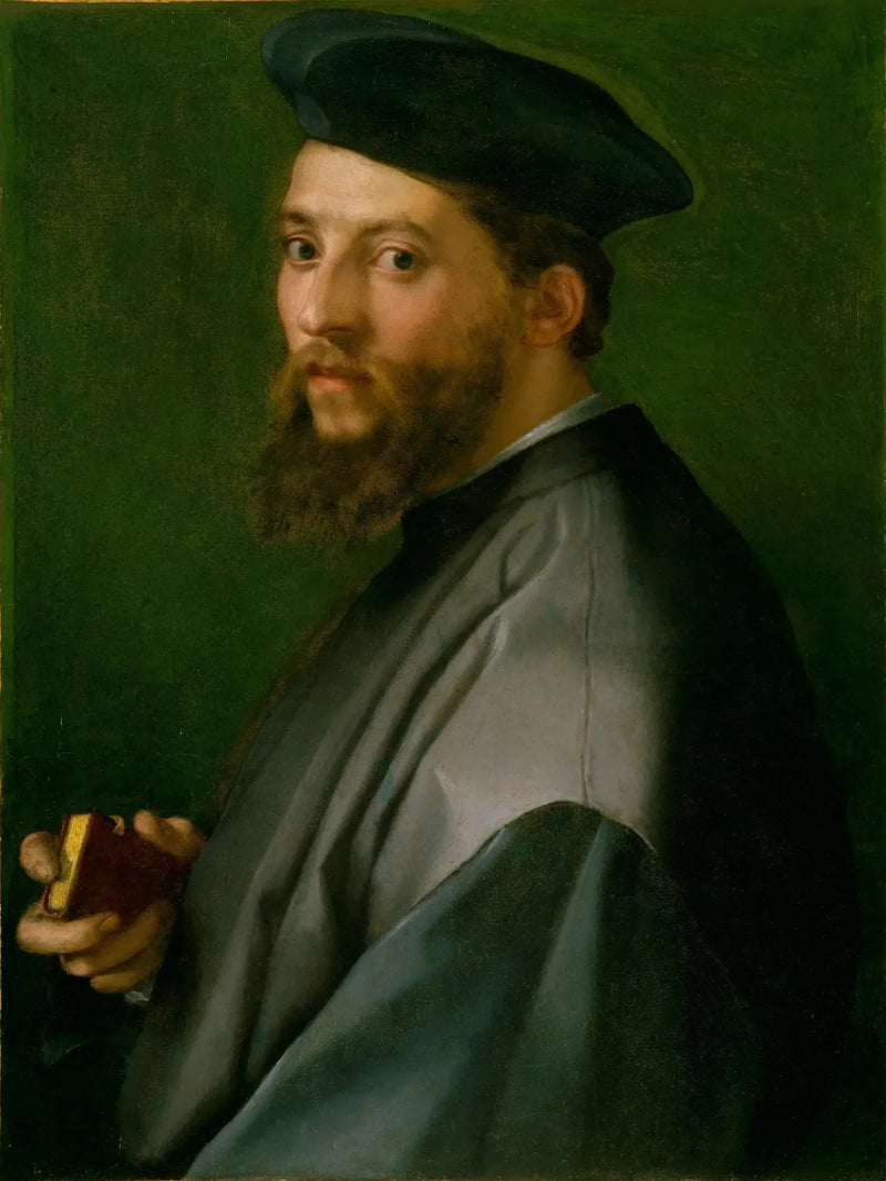 Porträtt av man - Andrea del Sarto