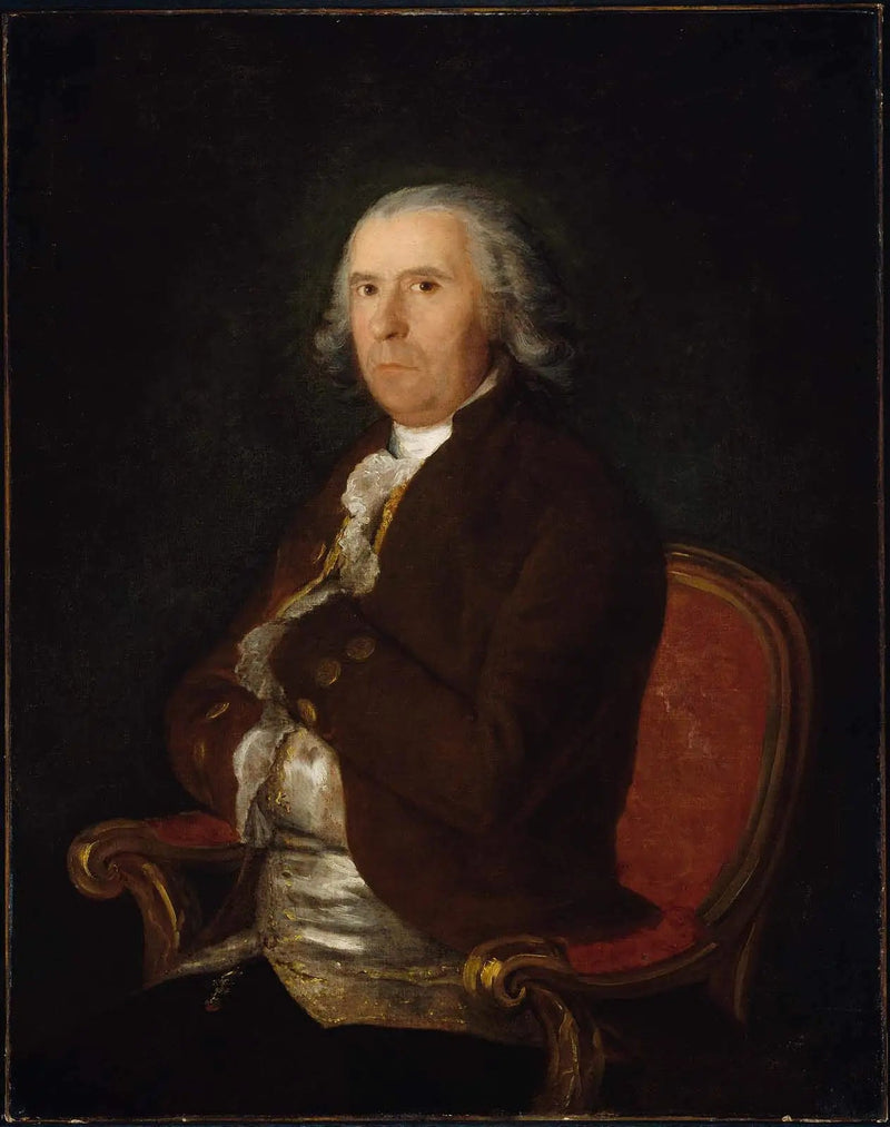 Porträtt av en man i brun kappa - Francisco de Goya