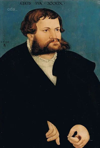 Porträtt av en man - Lucas Cranach den äldre