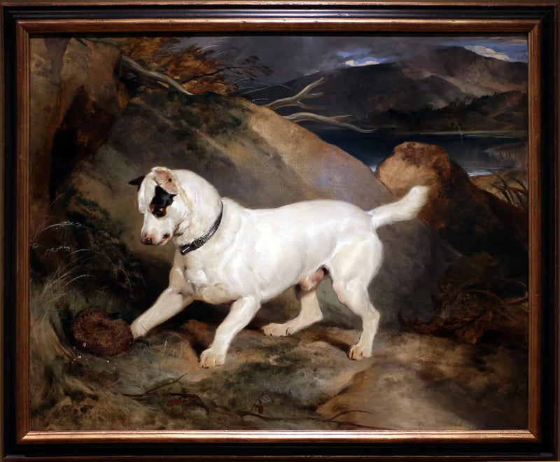 Porträtt av en terrier, ägd av Owen Williams, ESQ., parlamentsledamot (Jocko med en igelkott) - Edwin Henry Landseer