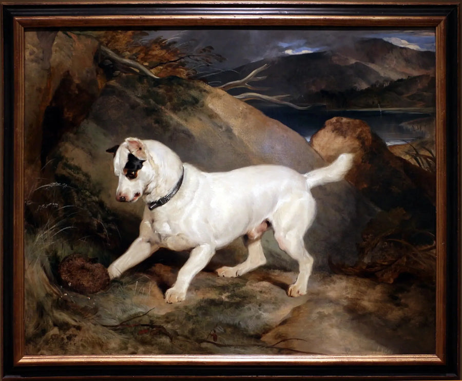 Porträtt av en terrier, ägd av Owen Williams, ESQ., parlamentsledamot (Jocko med en igelkott) - Edwin Henry Landseer