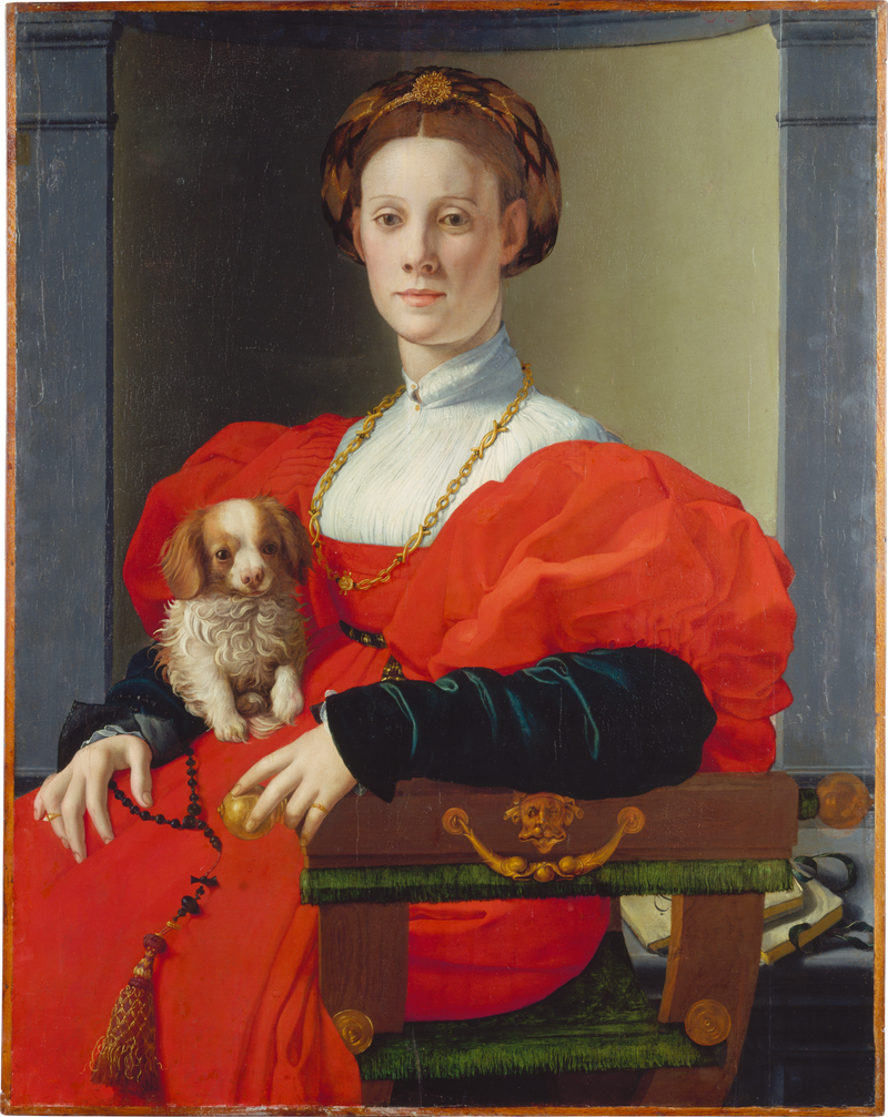 Porträtt av en dam med en sällskapshund - Bronzino