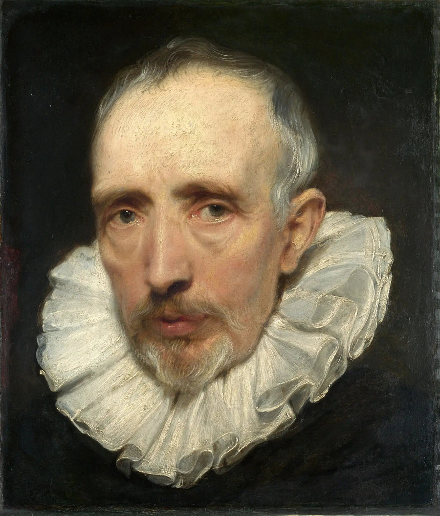 Porträtt av Cornelis van der Geest - Antoine van Dyck