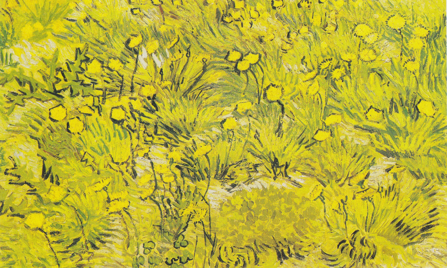 Gula blommor på prärien - Vincent van Gogh