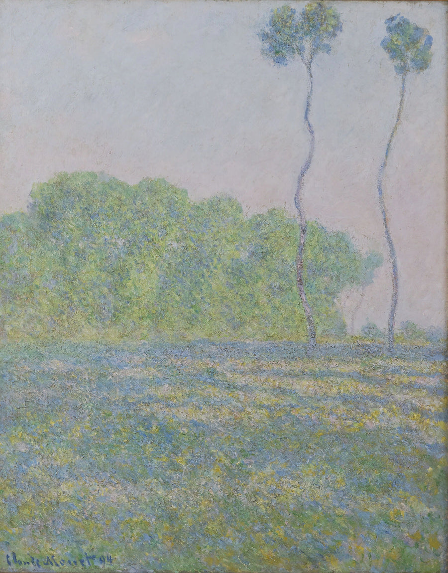 Äng i Giverny - Claude Monet