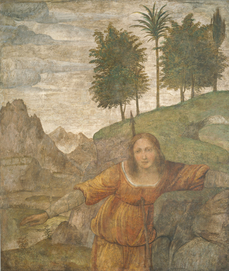 Procris genomstungen av Céphales spjut - Bernardino Luini
