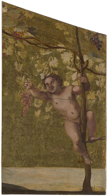 Putto som plockar druvor - Annibale Carracci