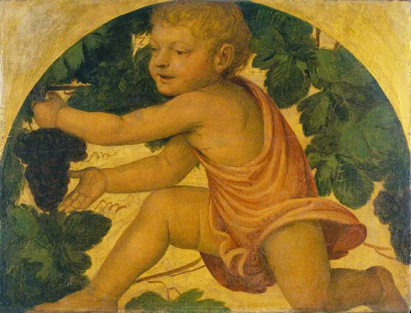 Putto som plockar druvor - Bernardino Luini