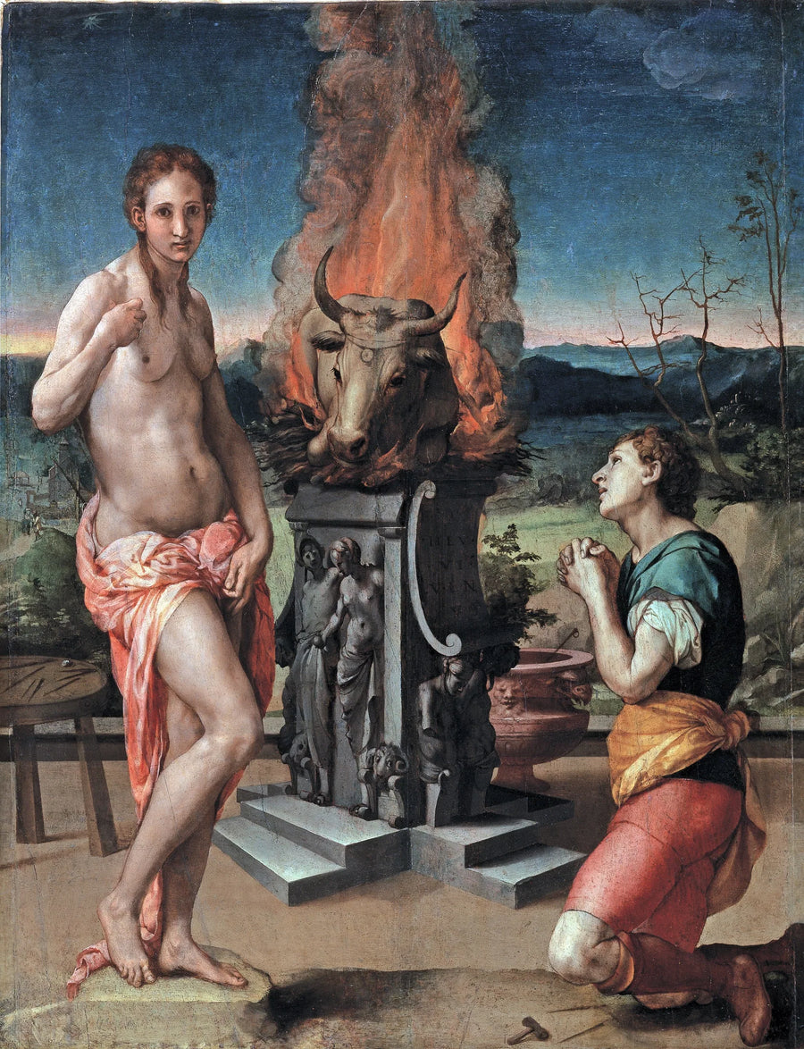 Pygmalion och Galatea - Bronzino