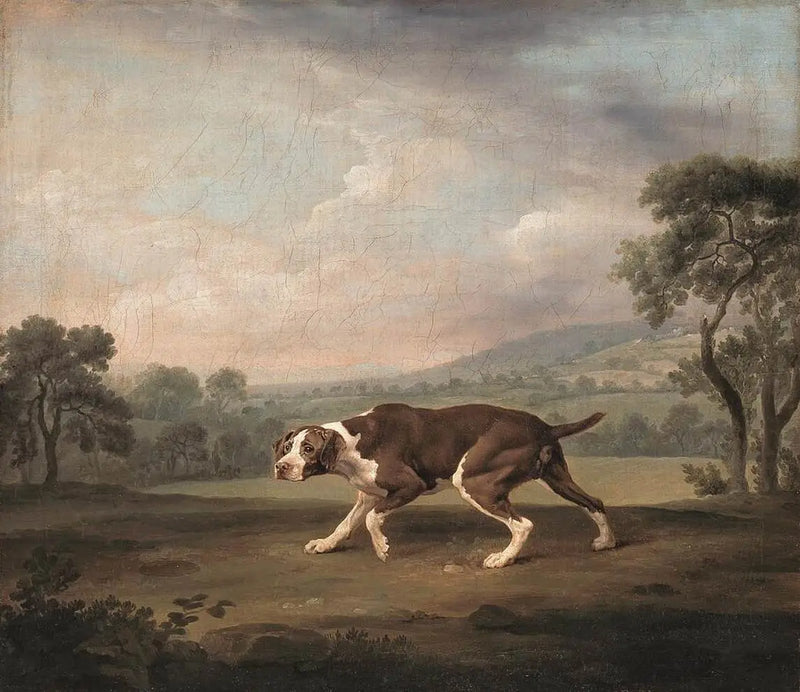 Q29920438 - George Stubbs