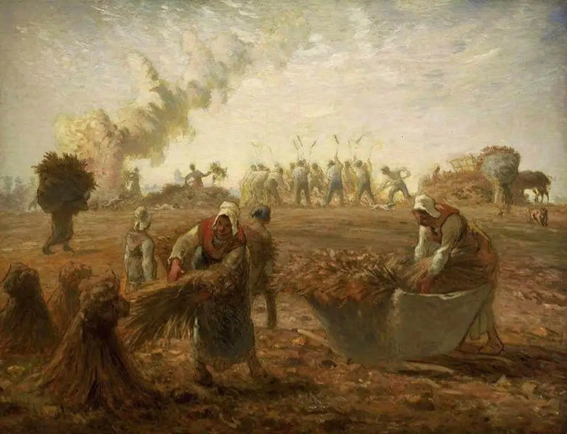 Skördet av bovete, sommar - Jean-François Millet