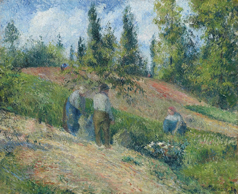 Äppelskörd, Pontoise - Camille Pissarro