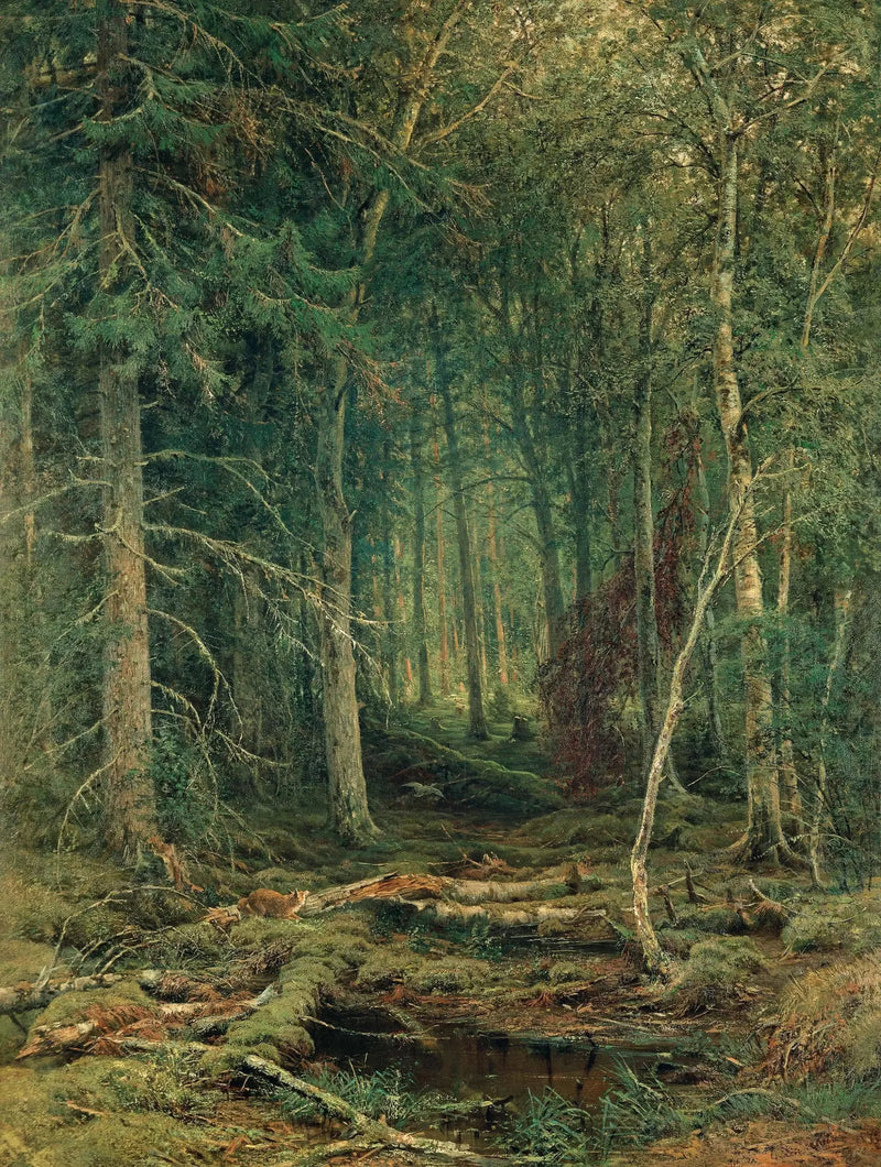 Oexploaterad skogsområde - Ivan Chichkine