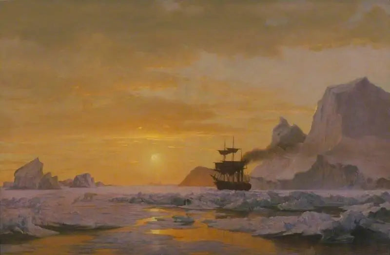 Arktiska regioner - William Bradford