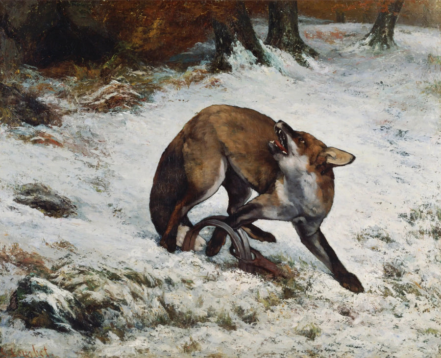 Renard fångad i en fälla - Gustave Courbet