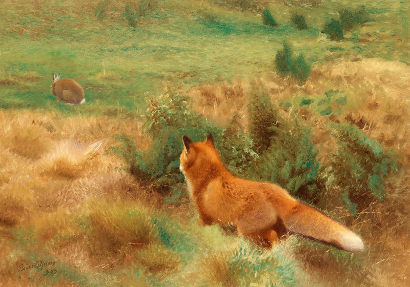 Renard traquant un lièvre - Bruno Liljefors