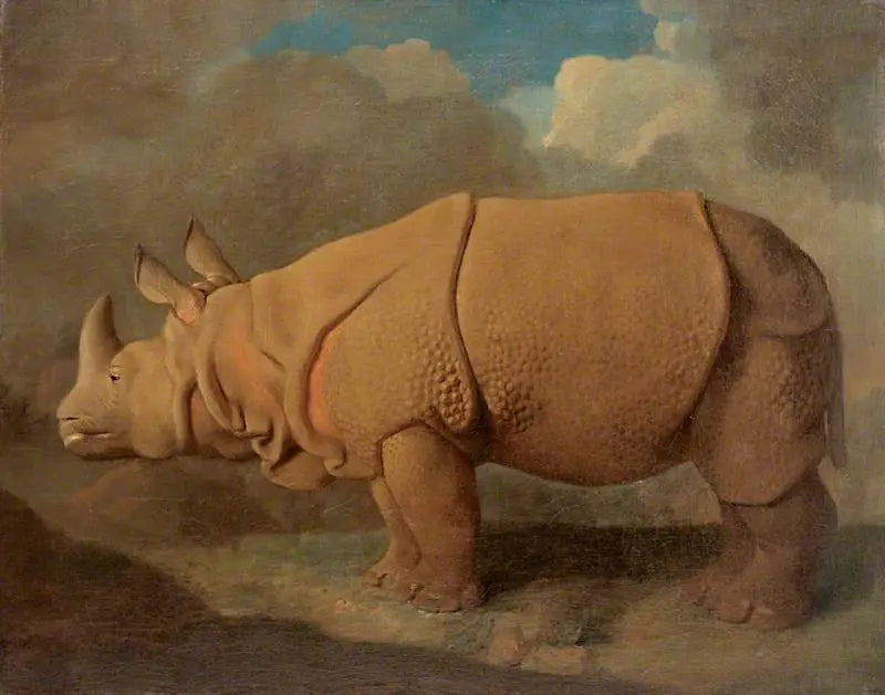Noshörning - George Stubbs
