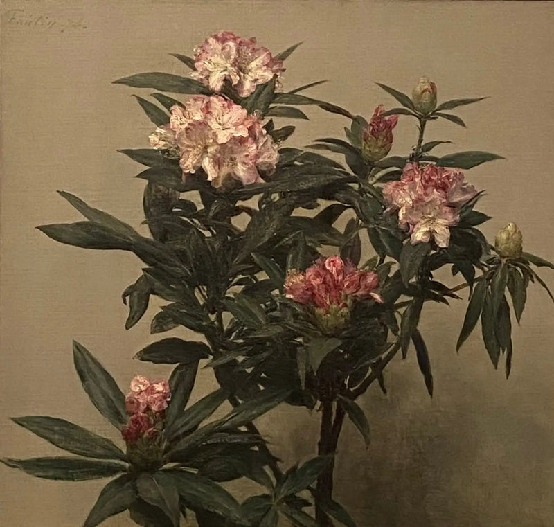 Rododendron - Henri Fantin-Latour