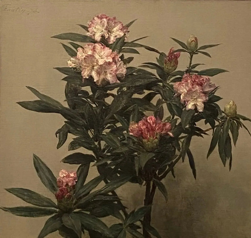 Rododendron - Henri Fantin-Latour