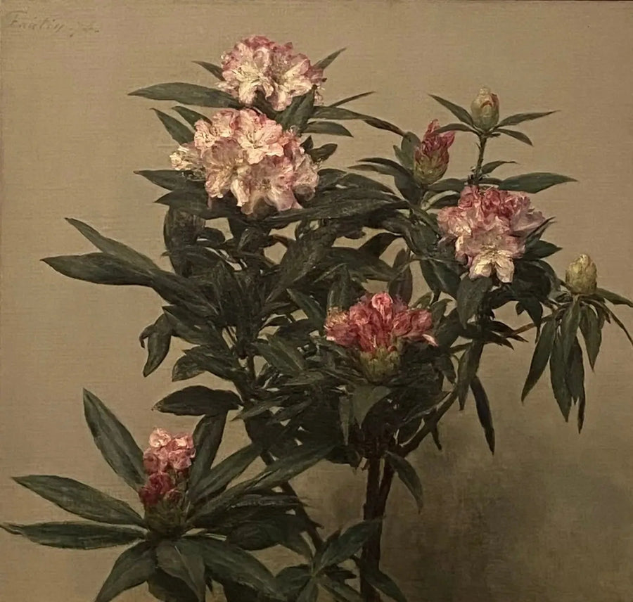 Rododendron - Henri Fantin-Latour