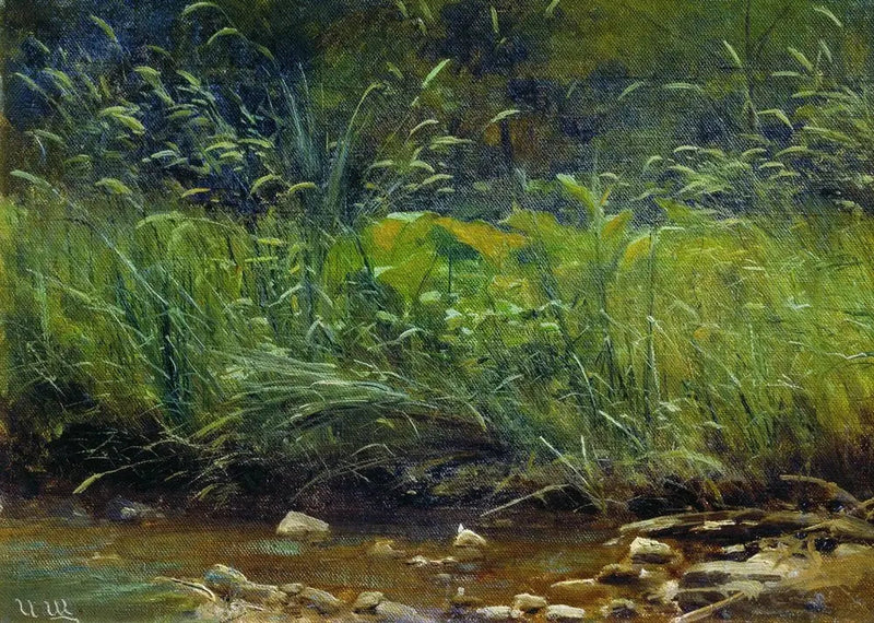 Dammkanten - Ivan Chichkine