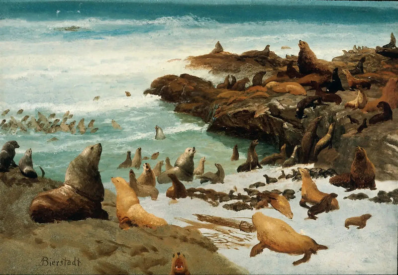 Sälklippor, Farallonerna - Albert Bierstadt