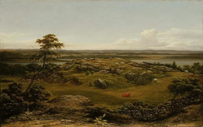 Rochers i Nya England - Martin Johnson Heade