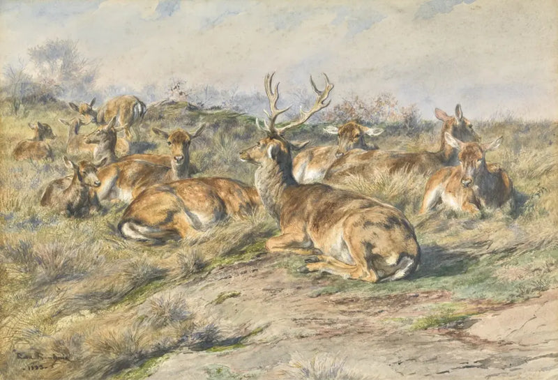 Étude de cerf - Rosa Bonheur